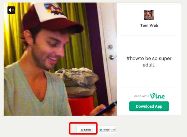how to embed a vine post